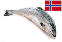 Ganzer Lachs ca. 3,5 kg (Norwegen)